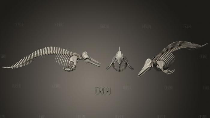 Dolphin Skeleton 3d stl модель для ЧПУ